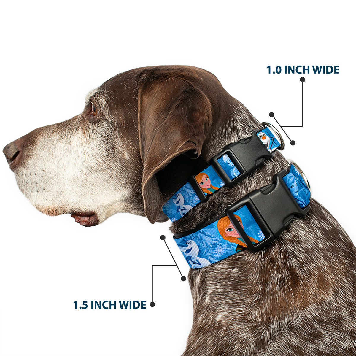 Plastic Clip Collar - Frozen Character Poses Blues Dog Collars Plastic Clip Side Release Disney