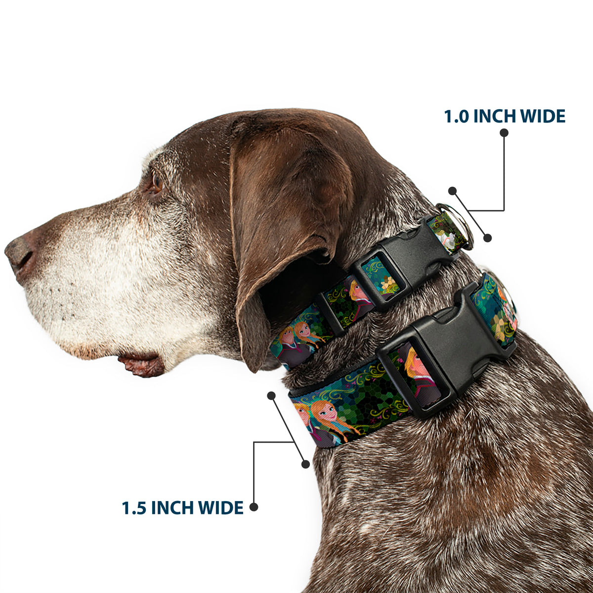 Plastic Clip Collar - Anna & Hans/Anna & Kristoff Poses Dog Collars Plastic Clip Side Release Disney