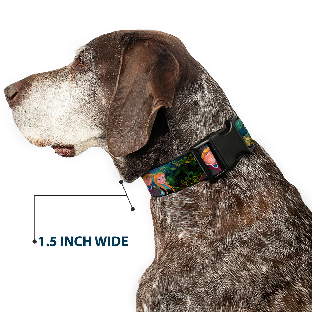 Plastic Clip Collar - Anna & Hans/Anna & Kristoff Poses Dog Collars Plastic Clip Side Release Disney