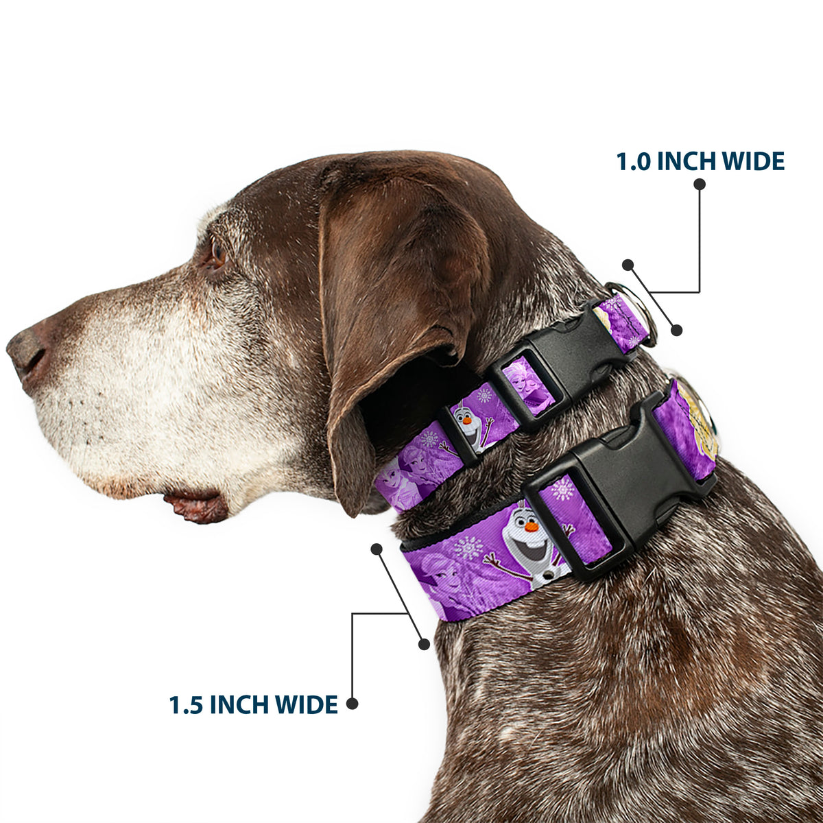 Plastic Clip Collar - Frozen Anna/Elsa/Olaf Poses/Scenes Purples Dog Collars Plastic Clip Side Release Disney