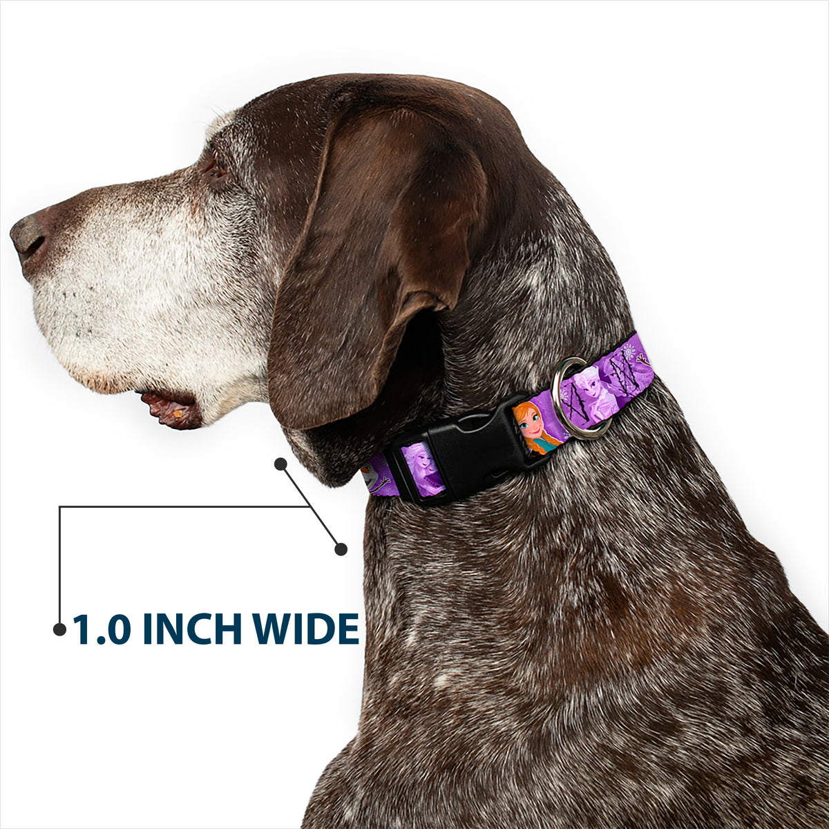 Plastic Clip Collar - Frozen Anna/Elsa/Olaf Poses/Scenes Purples Dog Collars Plastic Clip Side Release Disney