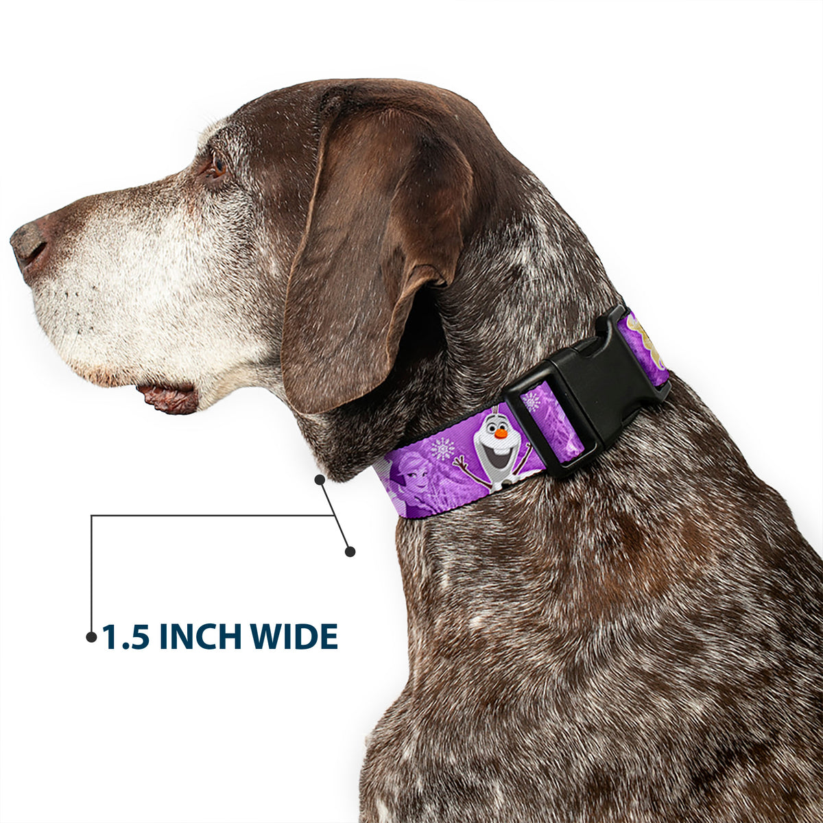 Plastic Clip Collar - Frozen Anna/Elsa/Olaf Poses/Scenes Purples Dog Collars Plastic Clip Side Release Disney