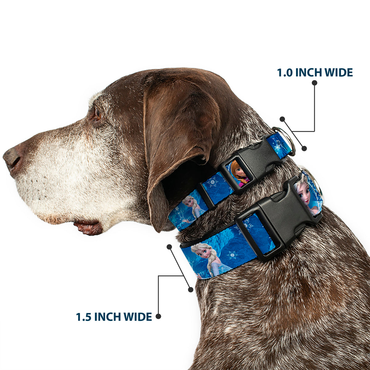 Plastic Clip Collar - Anna & Elsa Poses/Castle & Mountains Blues Dog Collars Plastic Clip Side Release Disney