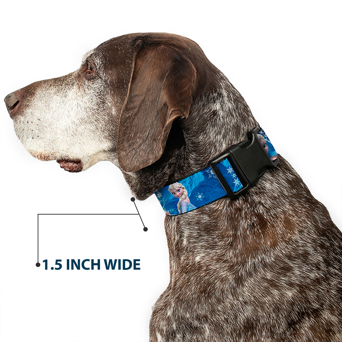 Plastic Clip Collar - Anna & Elsa Poses/Castle & Mountains Blues Dog Collars Plastic Clip Side Release Disney
