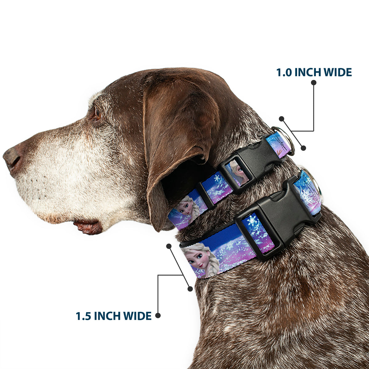 Plastic Clip Collar - Elsa the Snow Queen Poses/Castle & Snowy Mountains Blue-Pink Fade Dog Collars Plastic Clip Side Release Disney