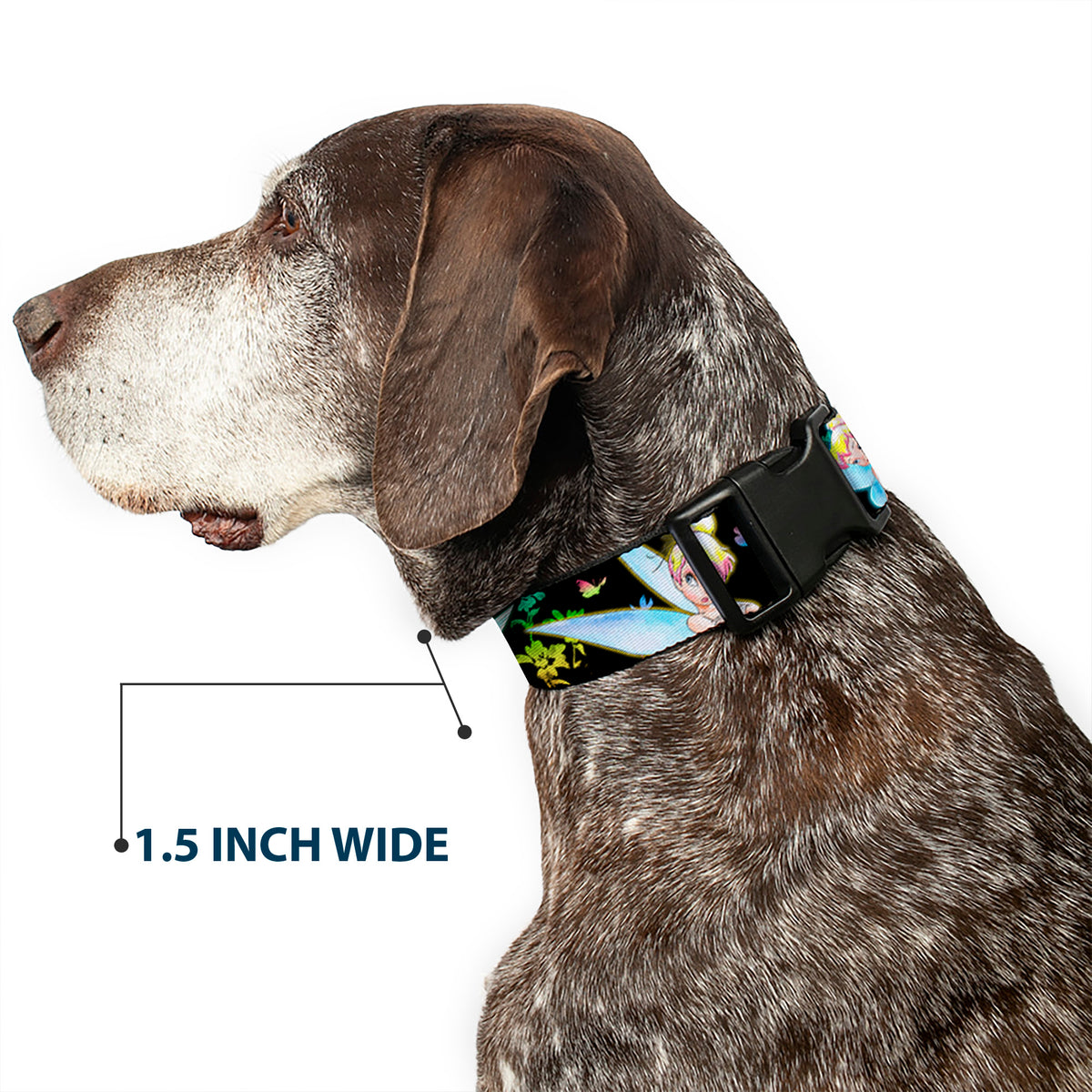 Plastic Clip Collar - Glowing Tinker Bell Poses/Butterflies & Flowers Black/Multi Neon Dog Collars Plastic Clip Side Release Disney