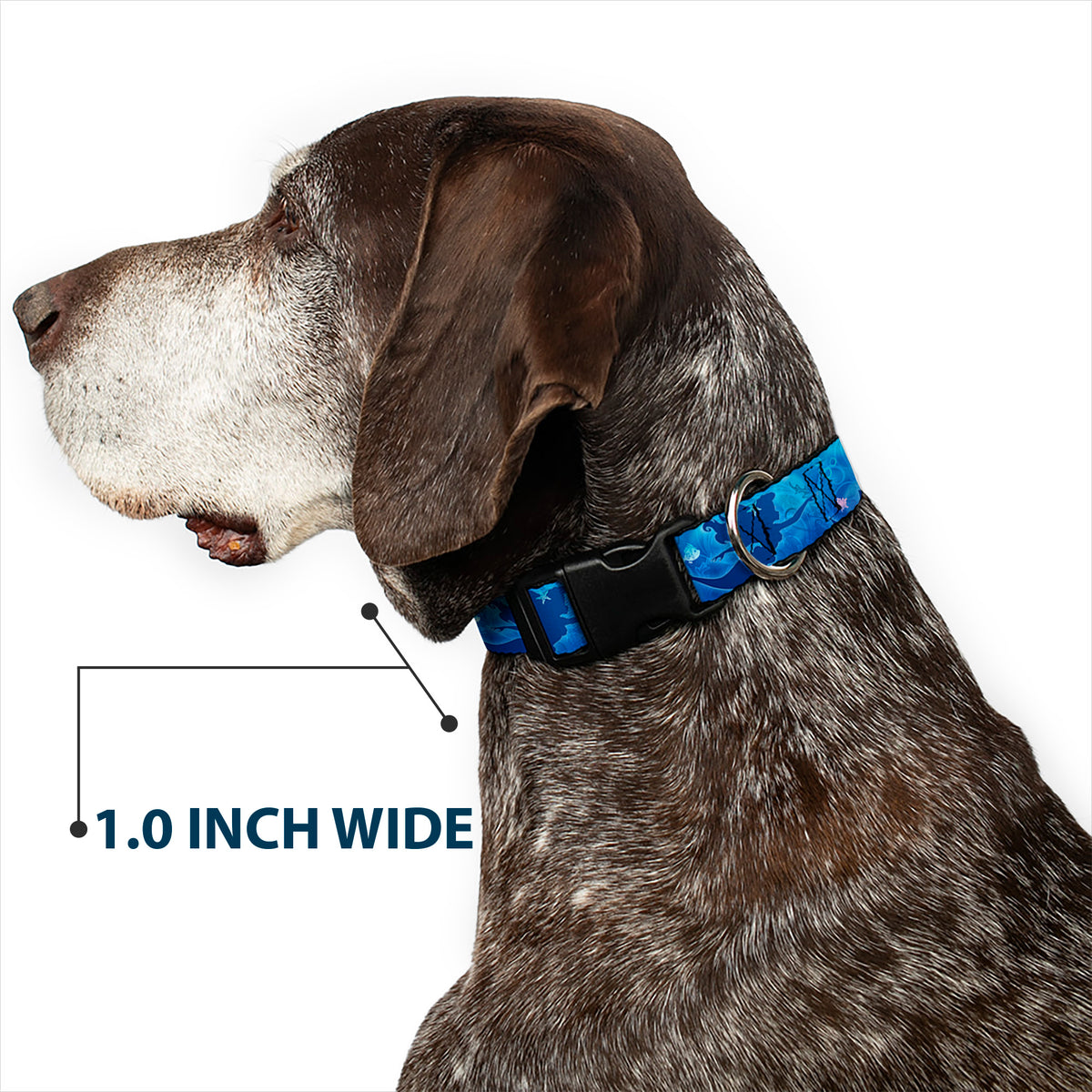 Plastic Clip Collar - Ariel Silhouette Poses/Castle Blues Dog Collars Plastic Clip Side Release Disney