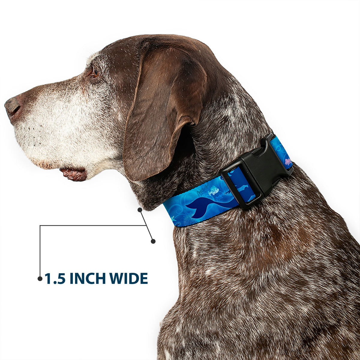 Plastic Clip Collar - Ariel Silhouette Poses/Castle Blues Dog Collars Plastic Clip Side Release Disney