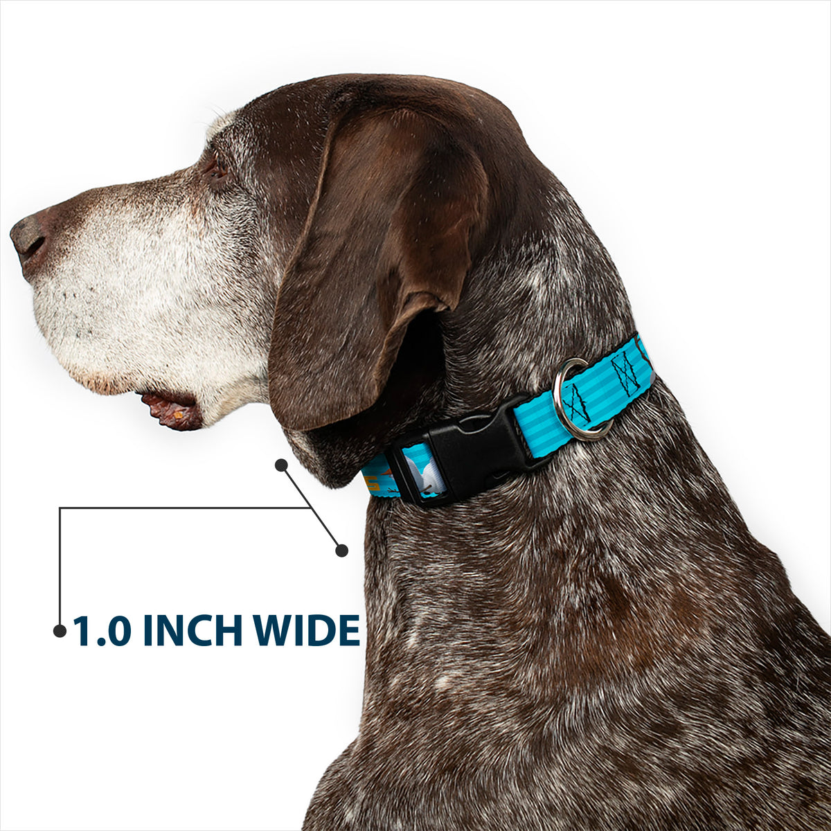 Plastic Clip Collar - Olaf Pose I LOVE WARM HUGS Stripe Blues Dog Collars Plastic Clip Side Release Disney