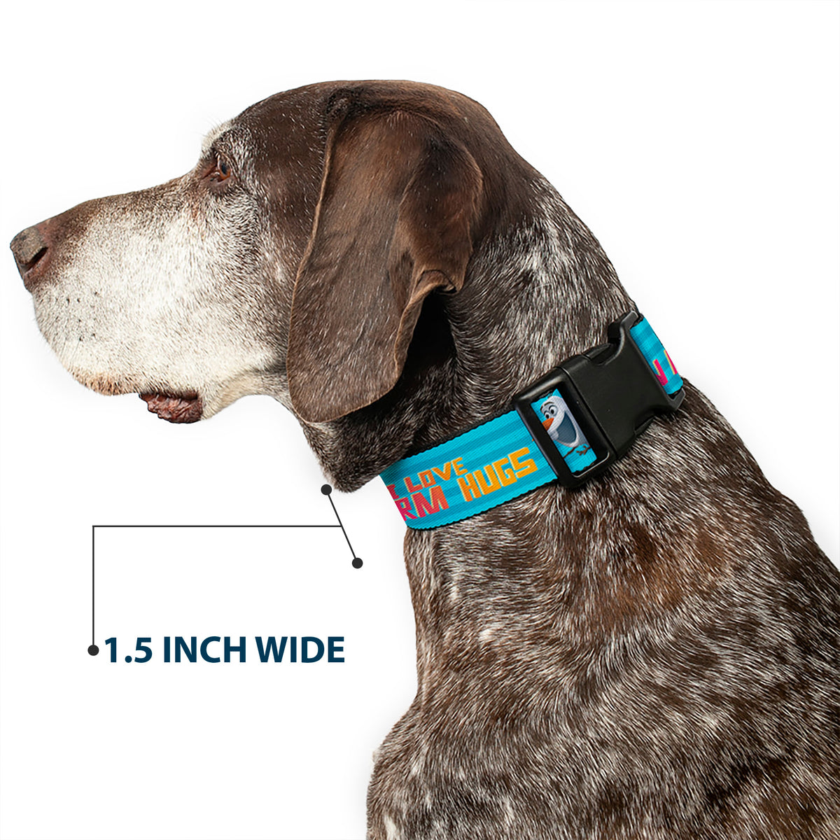 Plastic Clip Collar - Olaf Pose I LOVE WARM HUGS Stripe Blues Dog Collars Plastic Clip Side Release Disney