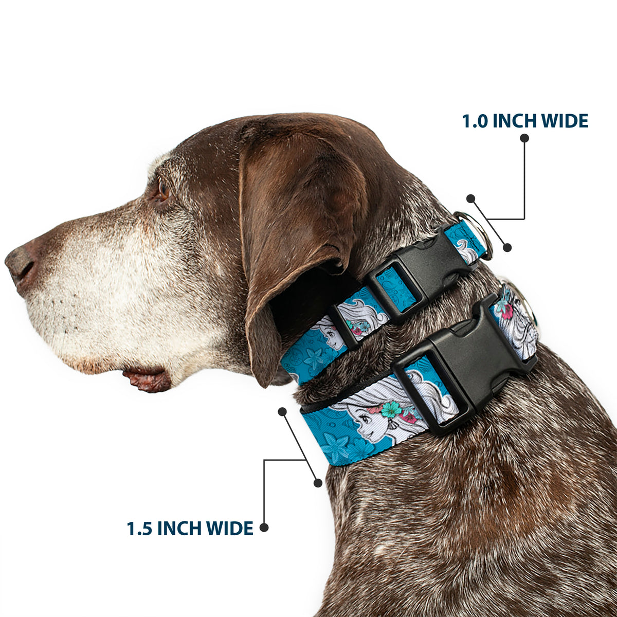 Plastic Clip Collar - Ariel Poses/Shells Sketch Blue/White Dog Collars Plastic Clip Side Release Disney