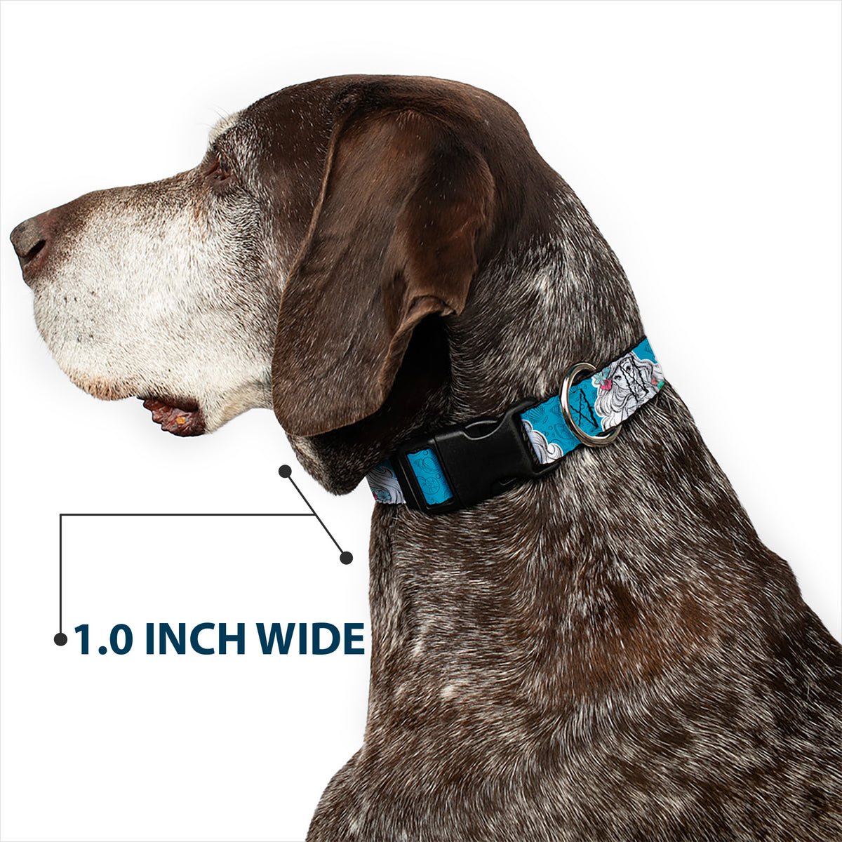 Plastic Clip Collar - Ariel Poses/Shells Sketch Blue/White Dog Collars Plastic Clip Side Release Disney