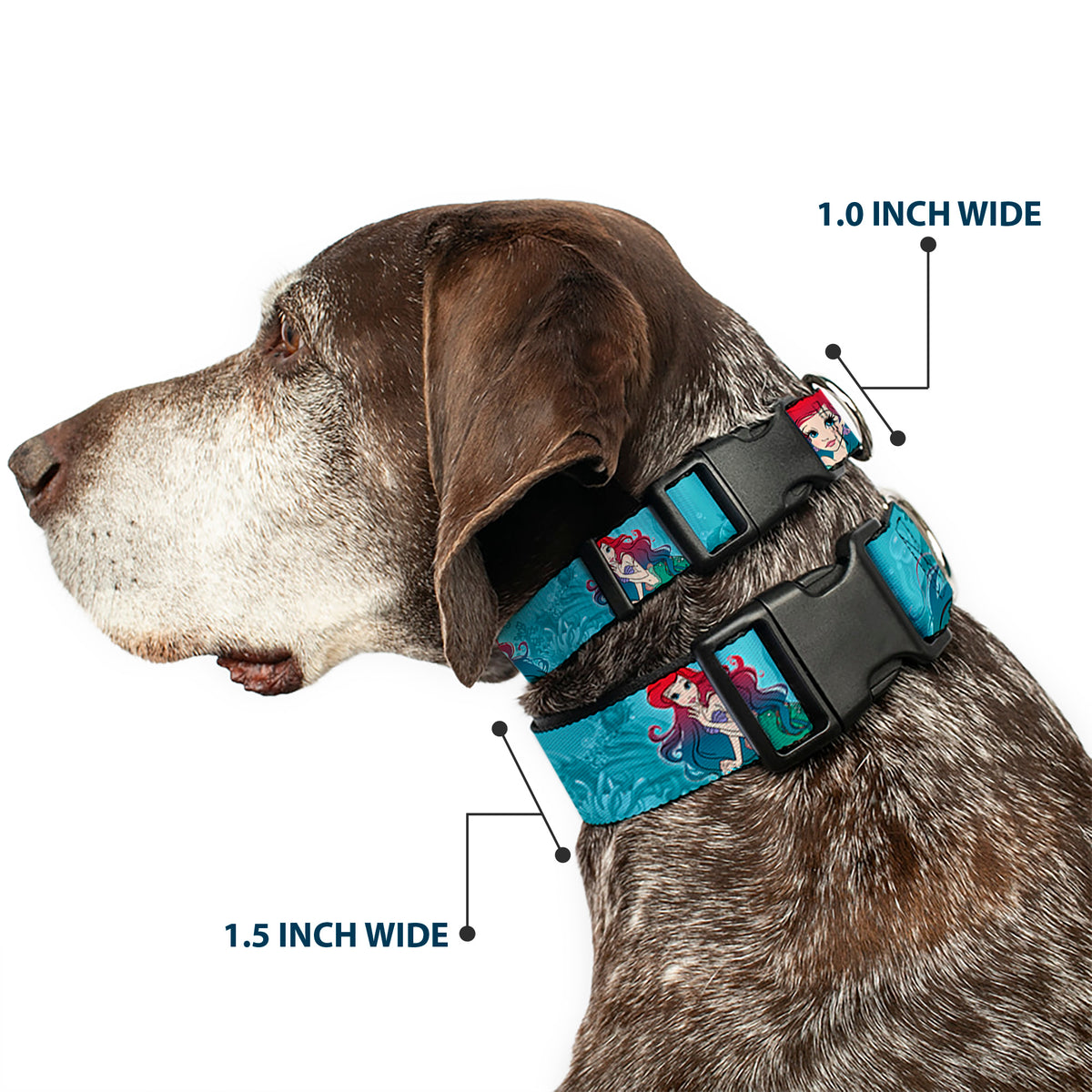 Plastic Clip Collar - Ariel Poses Coral & Castle Blues/Reds Dog Collars Plastic Clip Side Release Disney