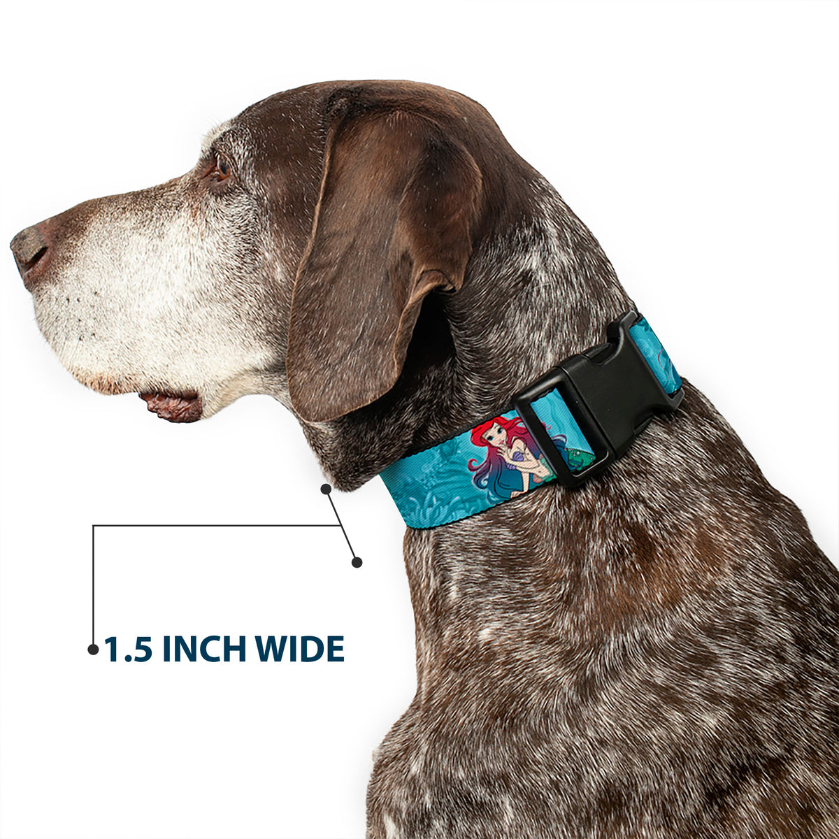 Plastic Clip Collar - Ariel Poses Coral & Castle Blues/Reds Dog Collars Plastic Clip Side Release Disney