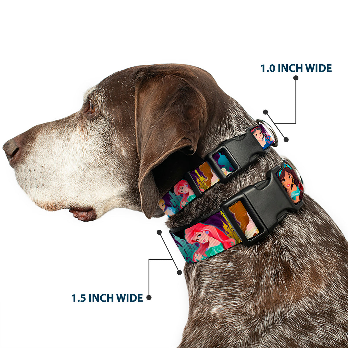 Plastic Clip Collar - Disney Princess Poses/Castle Silhouettes Purples/Multi Color Dog Collars Plastic Clip Side Release Disney