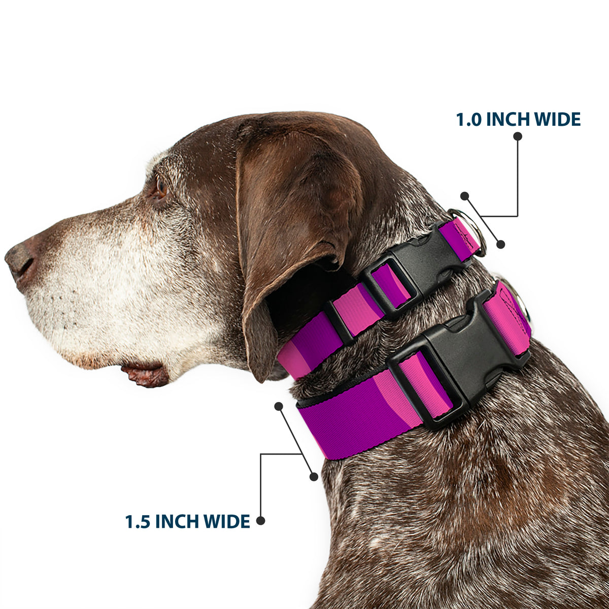Plastic Clip Collar - Cheshire Cat Stripe Pink/Purple Dog Collars Plastic Clip Side Release Disney