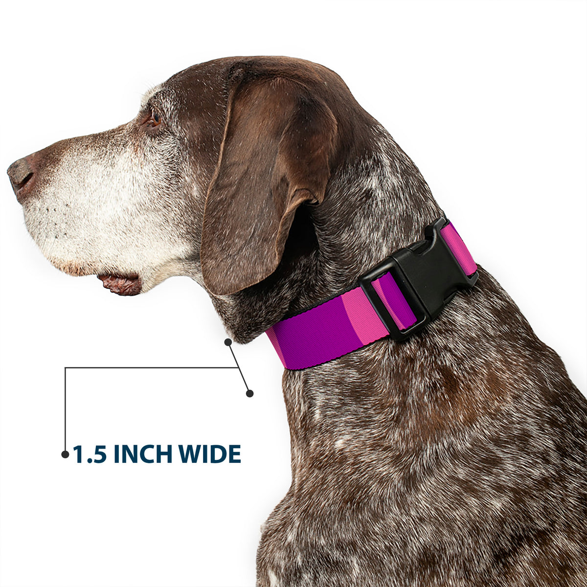 Plastic Clip Collar - Cheshire Cat Stripe Pink/Purple Dog Collars Plastic Clip Side Release Disney