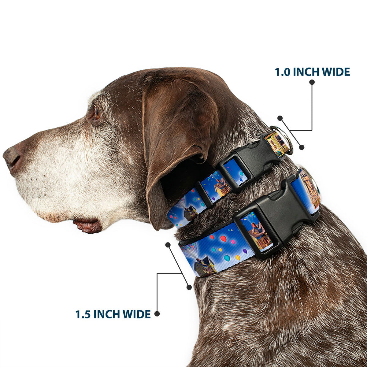 Plastic Clip Collar - Up Carl on Porch/Flying House/Balloons Dog Collars Plastic Clip Side Release Disney