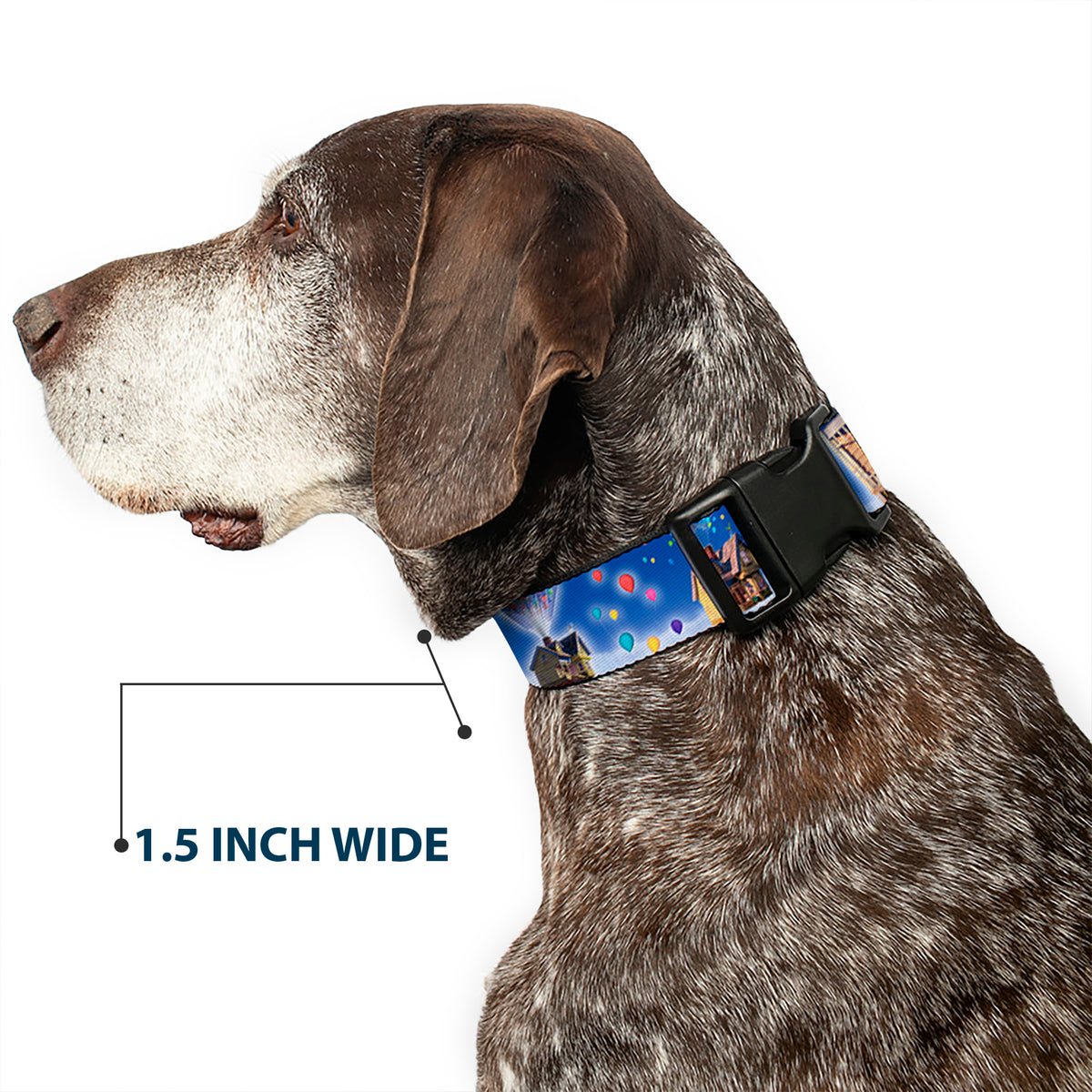 Plastic Clip Collar - Up Carl on Porch/Flying House/Balloons Dog Collars Plastic Clip Side Release Disney