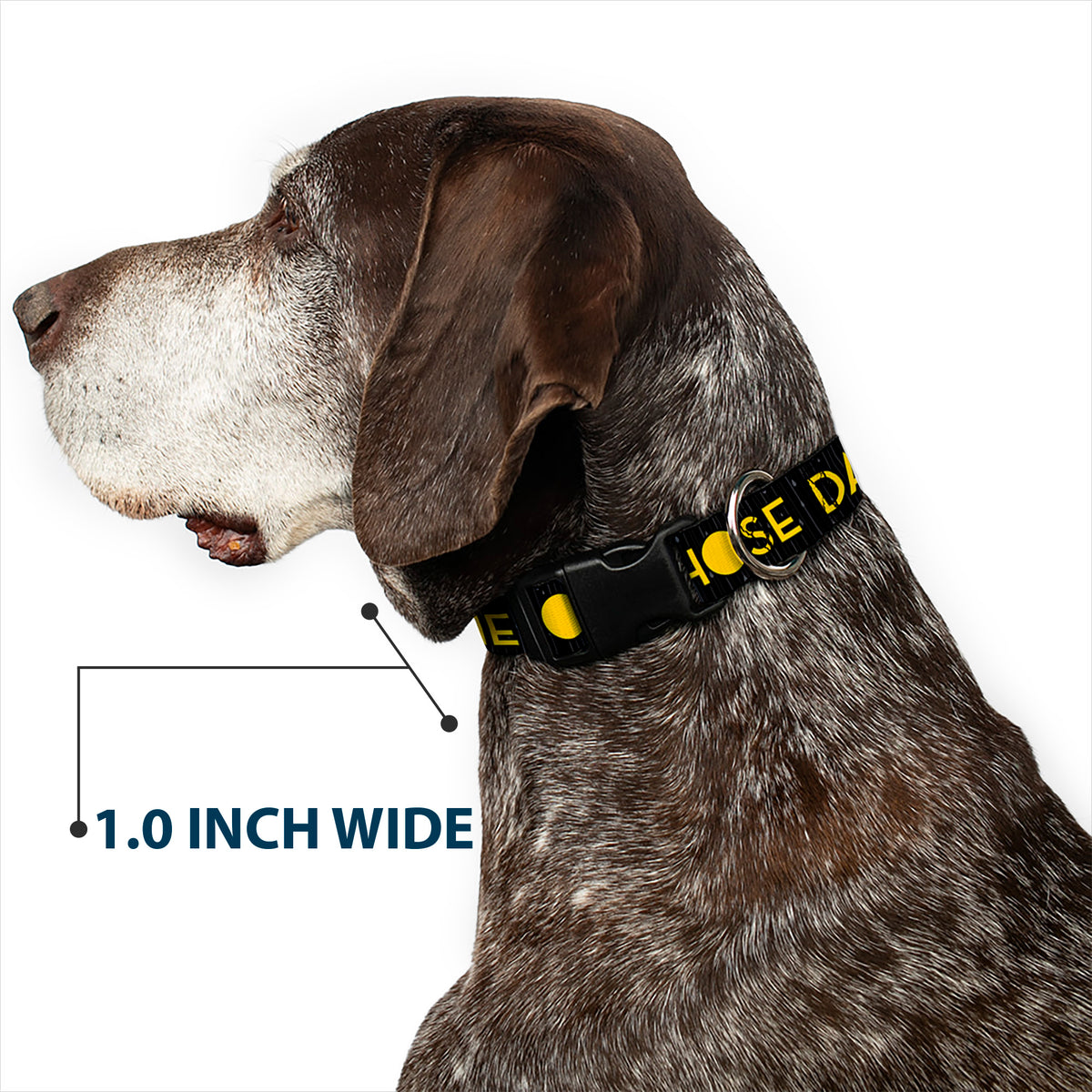 Plastic Clip Collar - Joy Poses/Rain ONE OF THOSE DAYS Black/Gray/Blues/Yellow Dog Collars Plastic Clip Side Release Disney