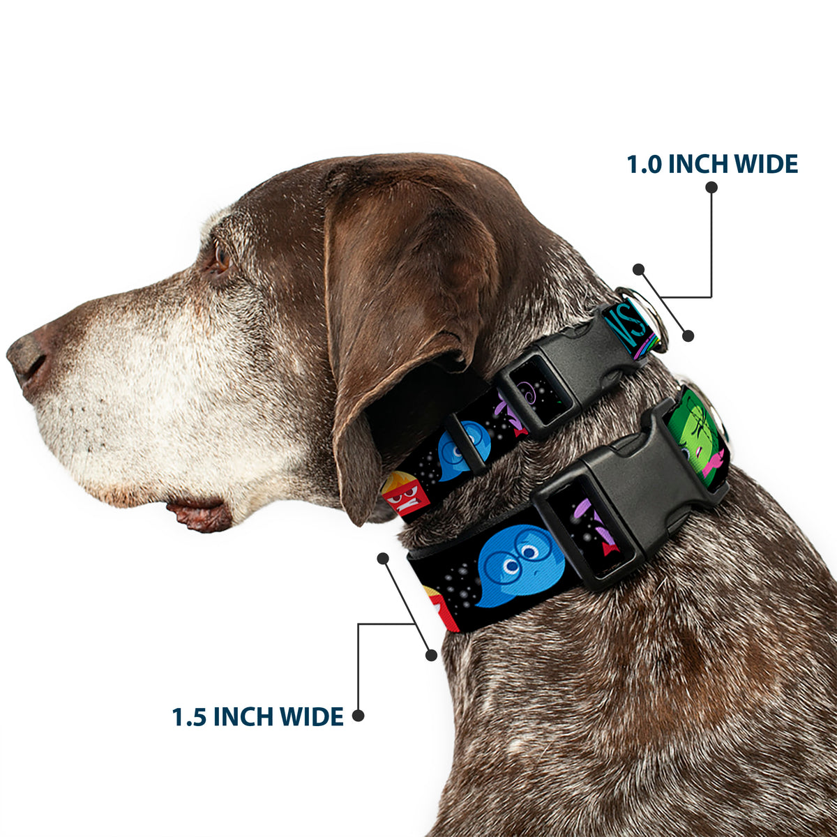 Plastic Clip Collar - INSIDE OUT/Emotion Expressions/EVERY DAY IS FULL OF EMOTIONS Dog Collars Plastic Clip Side Release Disney
