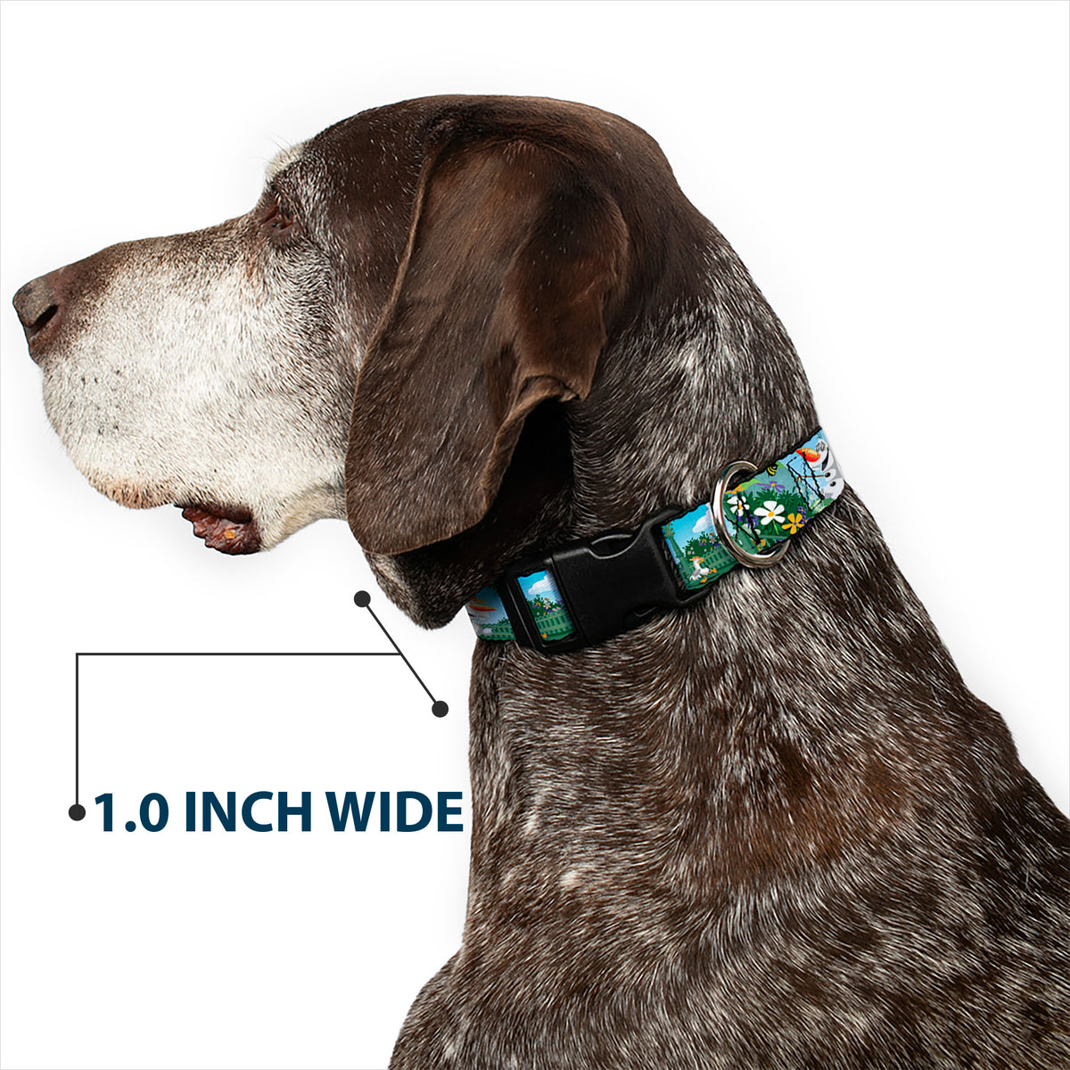 Plastic Clip Collar - Olaf Garden Scenes Dog Collars Plastic Clip Side Release Disney