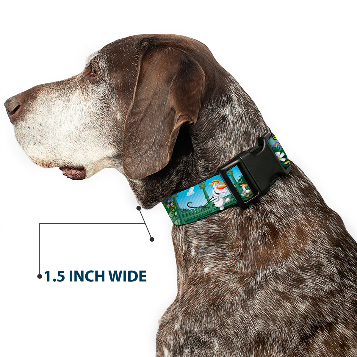 Plastic Clip Collar - Olaf Garden Scenes Dog Collars Plastic Clip Side Release Disney