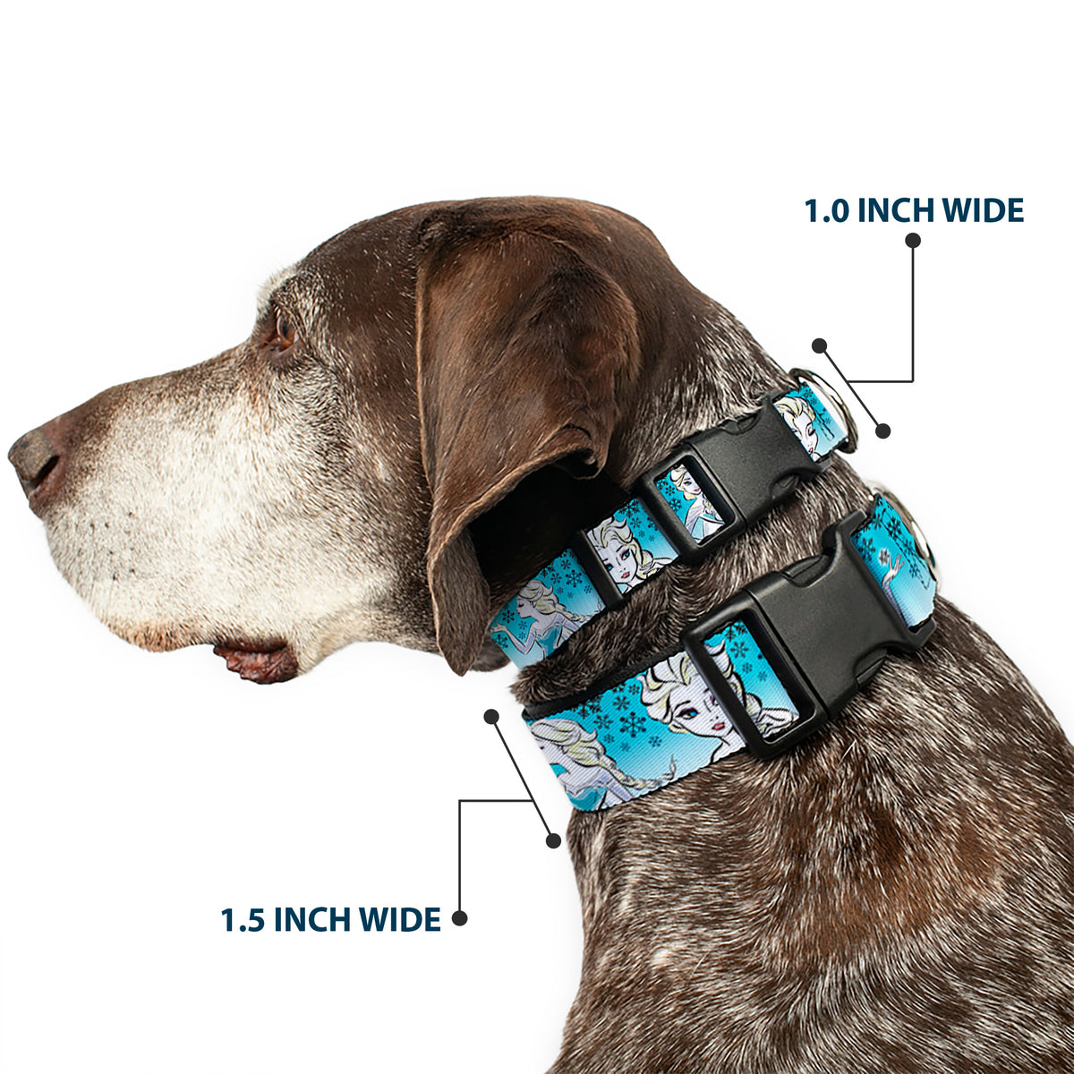 Plastic Clip Collar - Anna/Snowflakes Frozen Art Collection Poses Dog Collars Plastic Clip Side Release Disney
