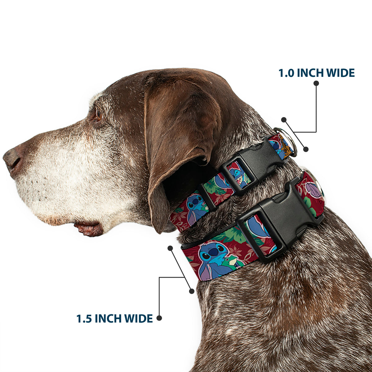 Plastic Clip Collar - Stitch 6-Expressions Tropical Flora Burgundy Reds/Greens Dog Collars Plastic Clip Side Release Disney