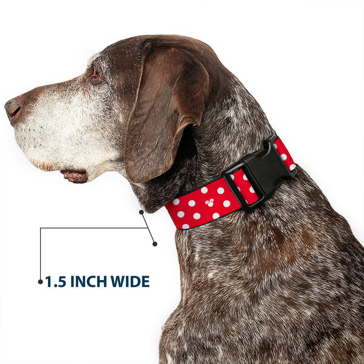 Plastic Clip Collar - Minnie Mouse Polka Dot/Mini Silhouette Red/White Dog Collars Plastic Clip Side Release Disney