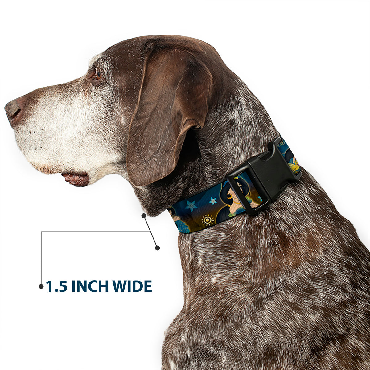 Plastic Clip Collar - Jasmine & Aladdin Carpet Ride/Jasmine Poses/Flowers Dog Collars Plastic Clip Side Release Disney