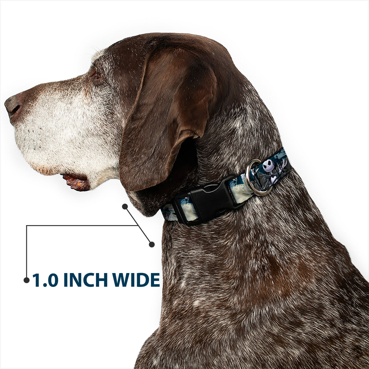 Plastic Clip Collar - Nightmare Before Christmas 4-Character Group/Cemetery Scene Dog Collars Plastic Clip Side Release Disney