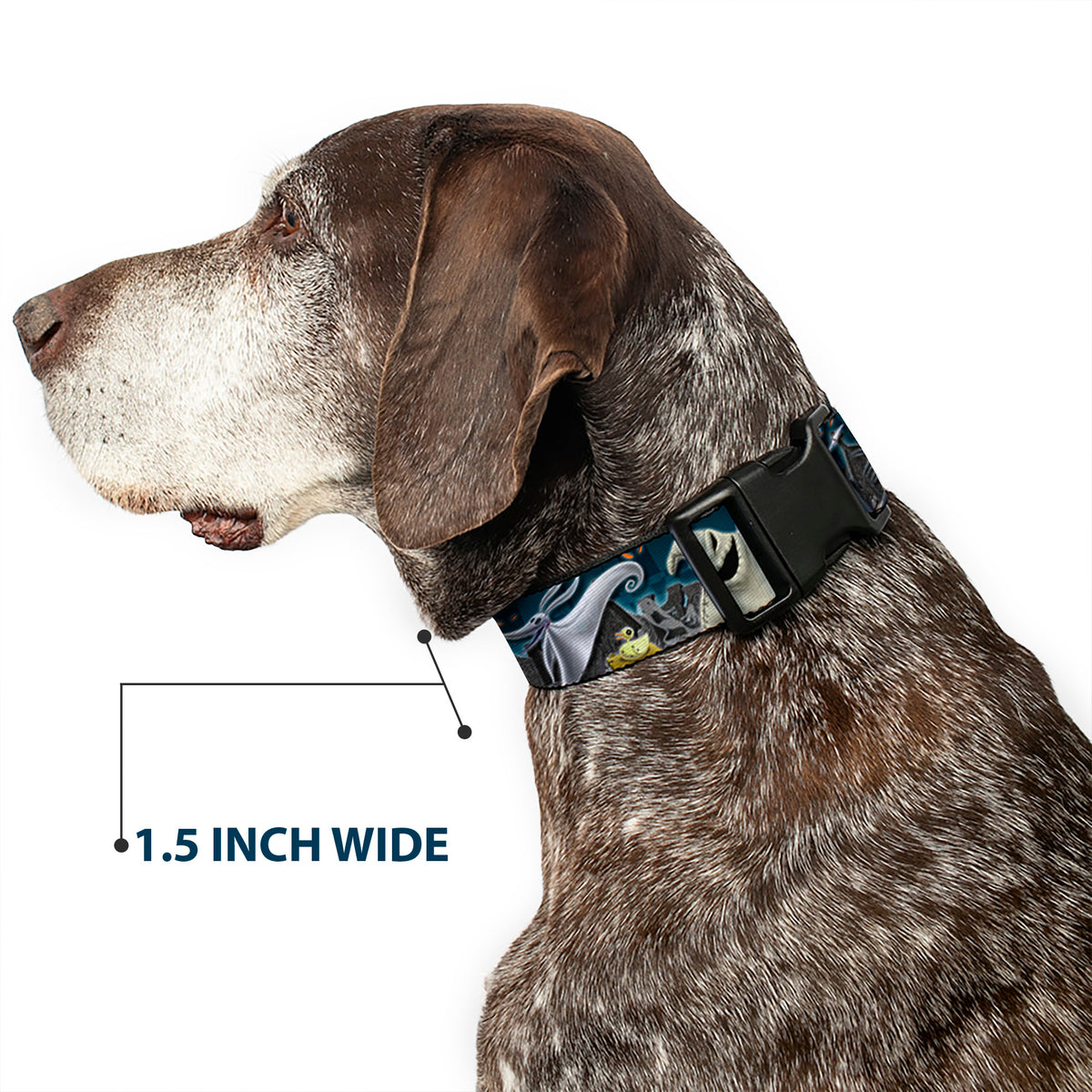 Plastic Clip Collar - Nightmare Before Christmas 4-Character Group/Cemetery Scene Dog Collars Plastic Clip Side Release Disney