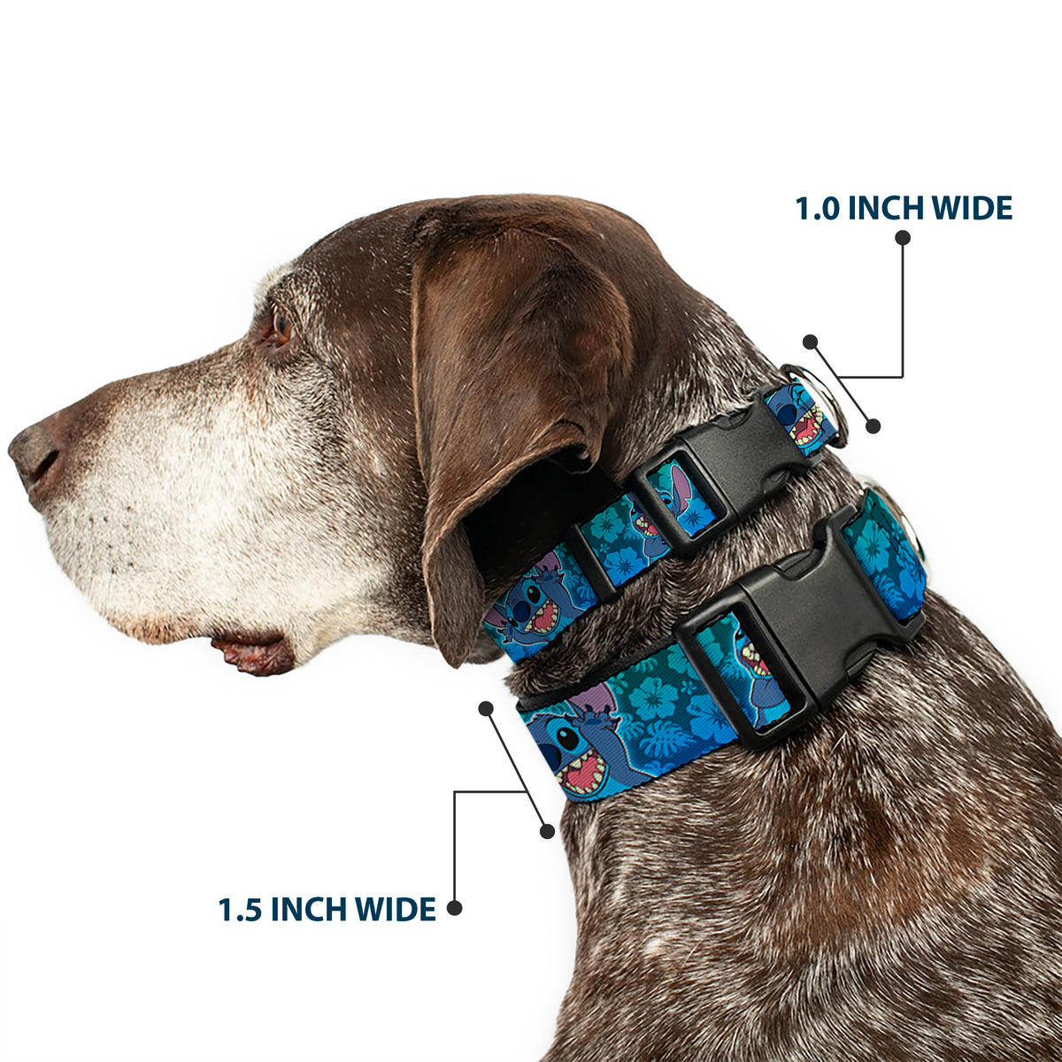 Plastic Clip Collar - Stitch Expressions/Hibiscus Collage Green-Blue Fade Dog Collars Plastic Clip Side Release Disney