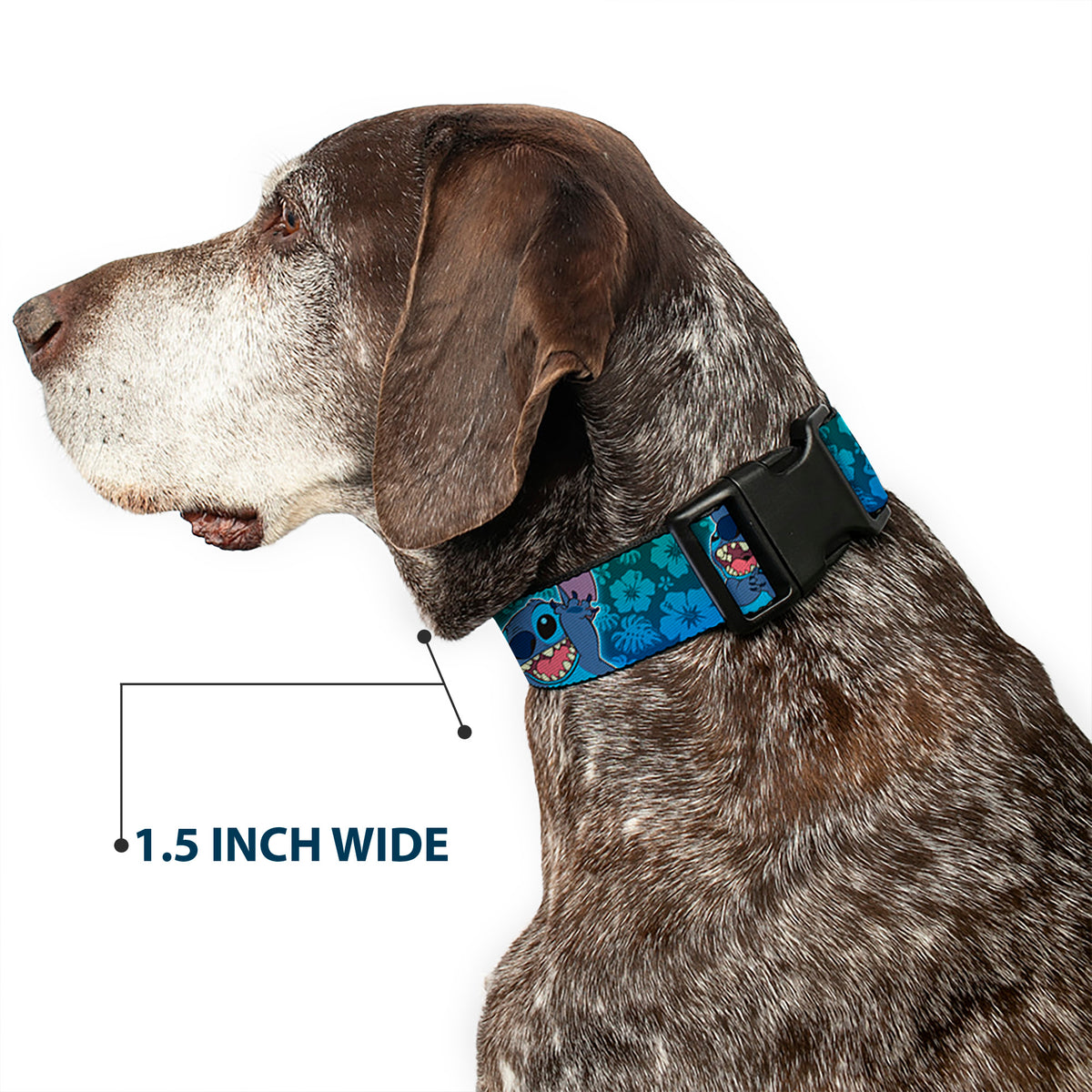 Plastic Clip Collar - Stitch Expressions/Hibiscus Collage Green-Blue Fade Dog Collars Plastic Clip Side Release Disney