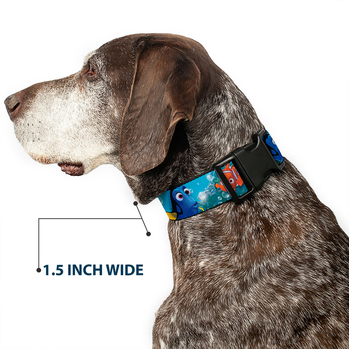 Plastic Clip Collar - Nemo & Dory Poses Dog Collars Plastic Clip Side Release Disney