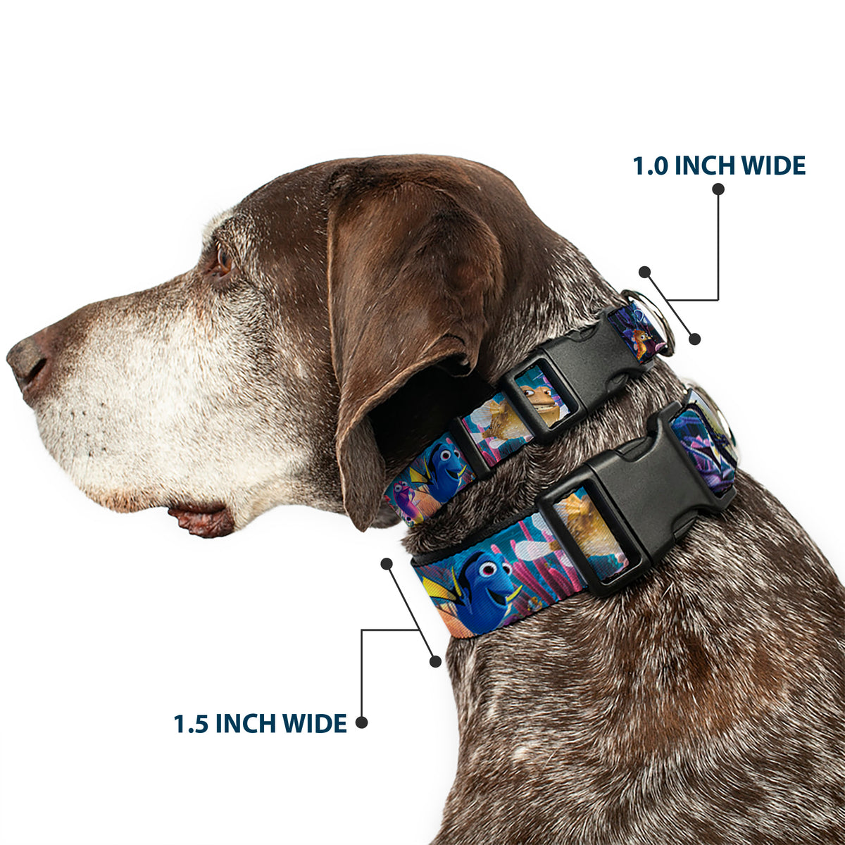 Plastic Clip Collar - Nemo & Friends Group Dog Collars Plastic Clip Side Release Disney