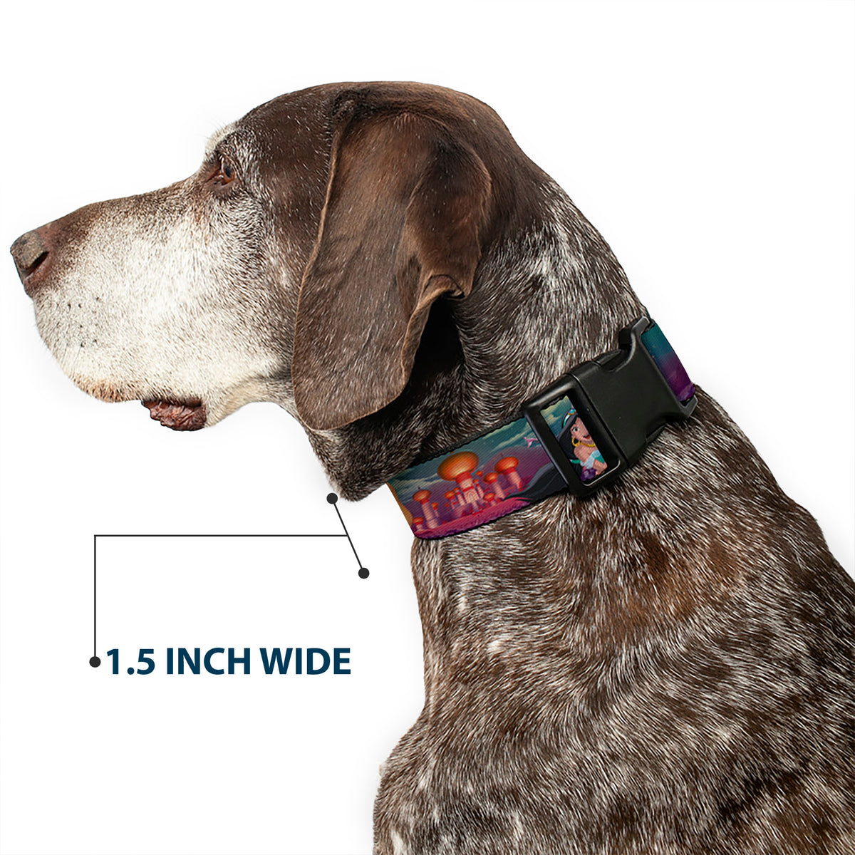 Plastic Clip Collar - Aladdin & Jasmine Scenes/Castle/Birds Dog Collars Plastic Clip Side Release Disney