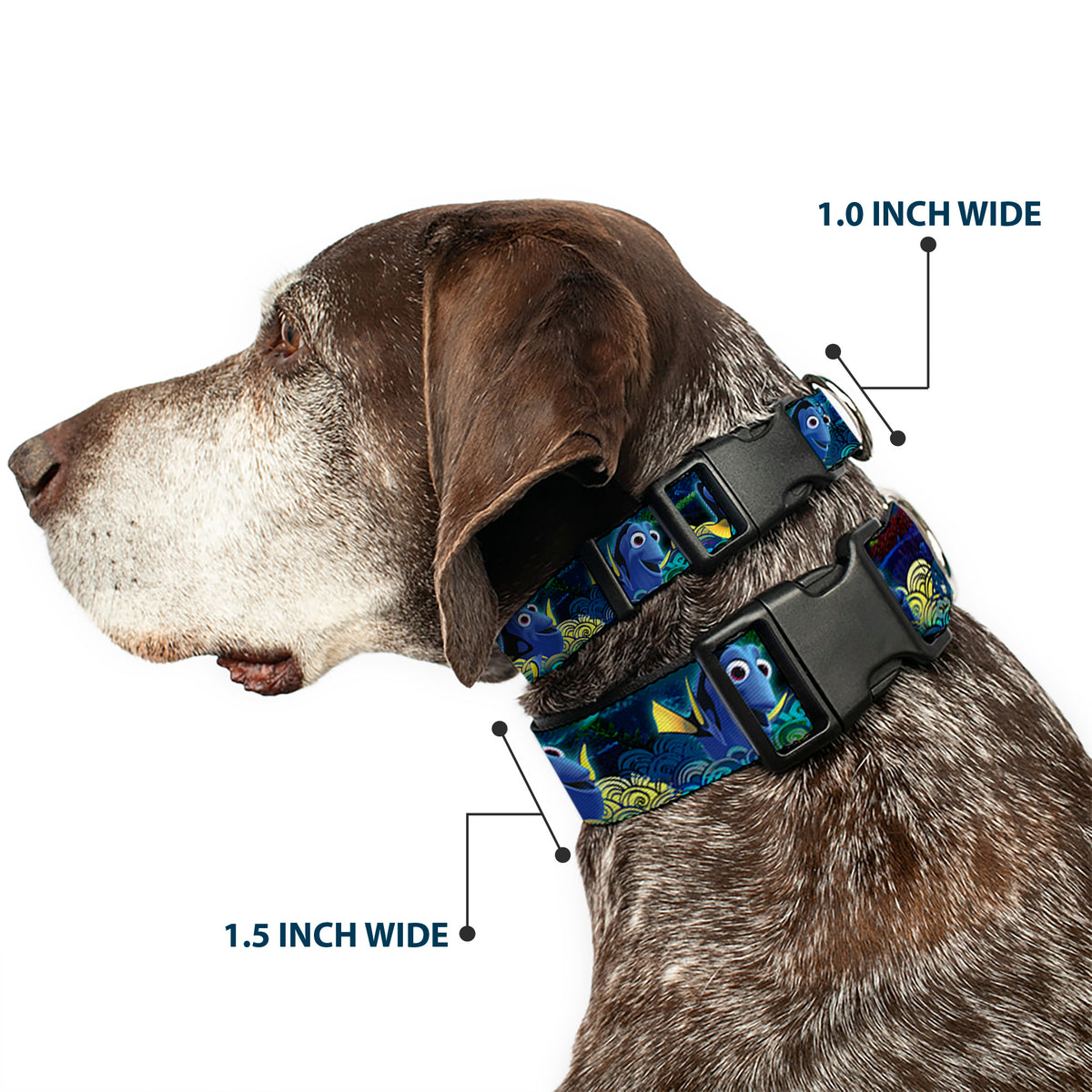 Plastic Clip Collar - Dory Poses/Swirls Blues/Yellows Dog Collars Plastic Clip Side Release Disney