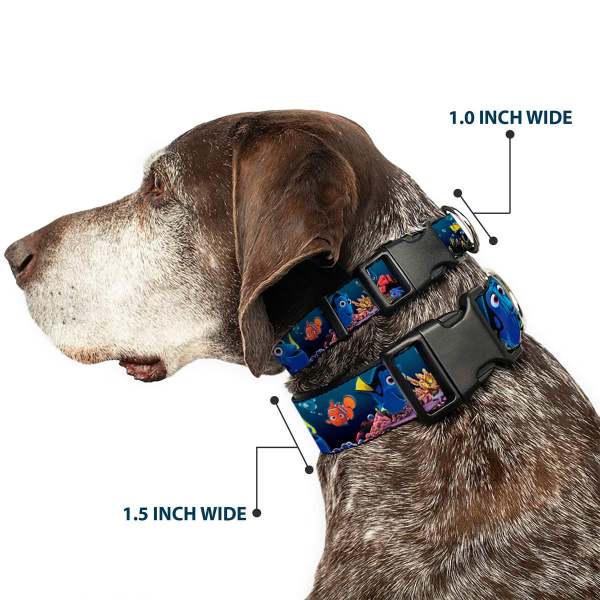 Plastic Clip Collar - Dory Poses & Friends Under the Sea Dog Collars Plastic Clip Side Release Disney