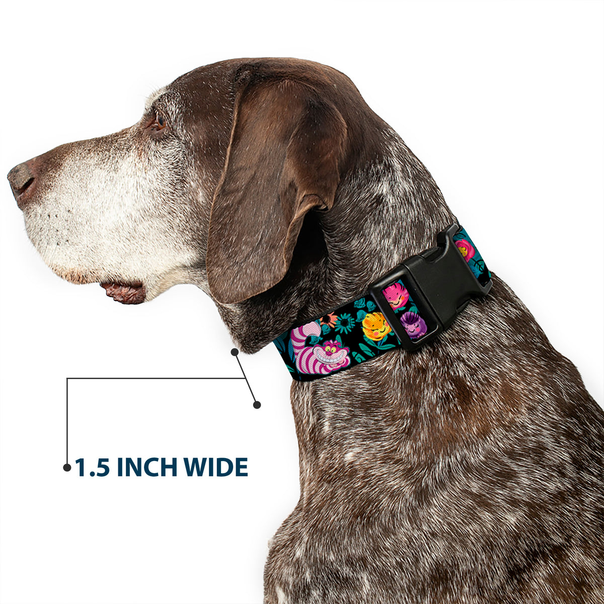 Plastic Clip Collar - Alice/Cheshire Cat/Flowers Poses Black/Multi Color Dog Collars Plastic Clip Side Release Disney