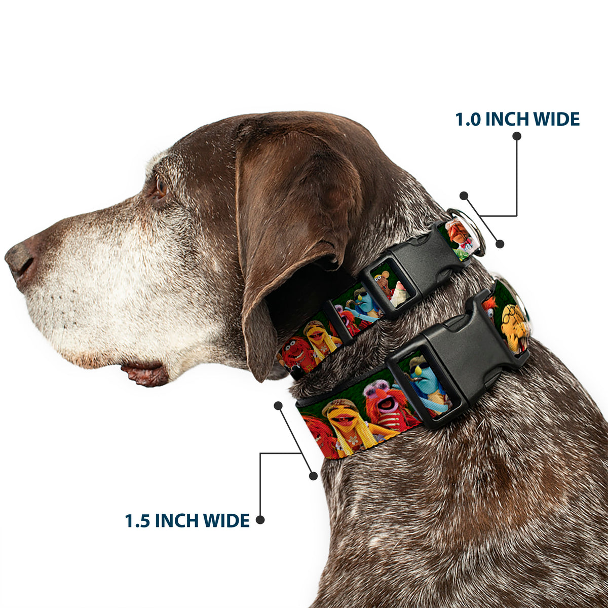 Plastic Clip Collar - Muppets 20-Character Group Pose Greens Dog Collars Plastic Clip Side Release Disney