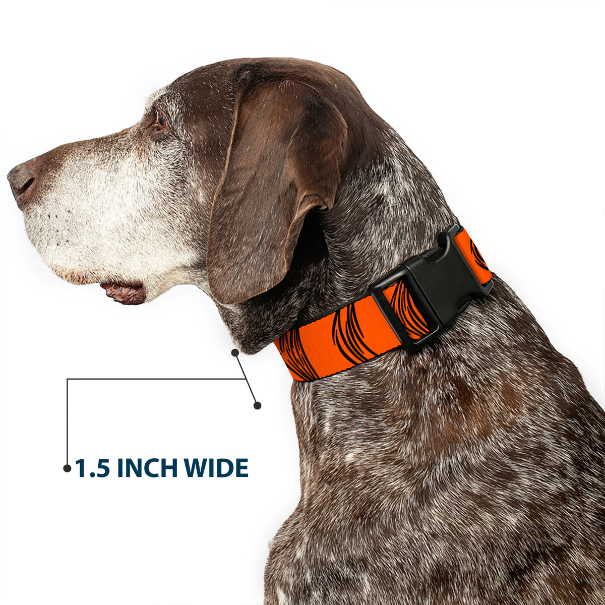 Plastic Clip Collar - Tigger Stripes Orange/Black Dog Collars Plastic Clip Side Release Disney
