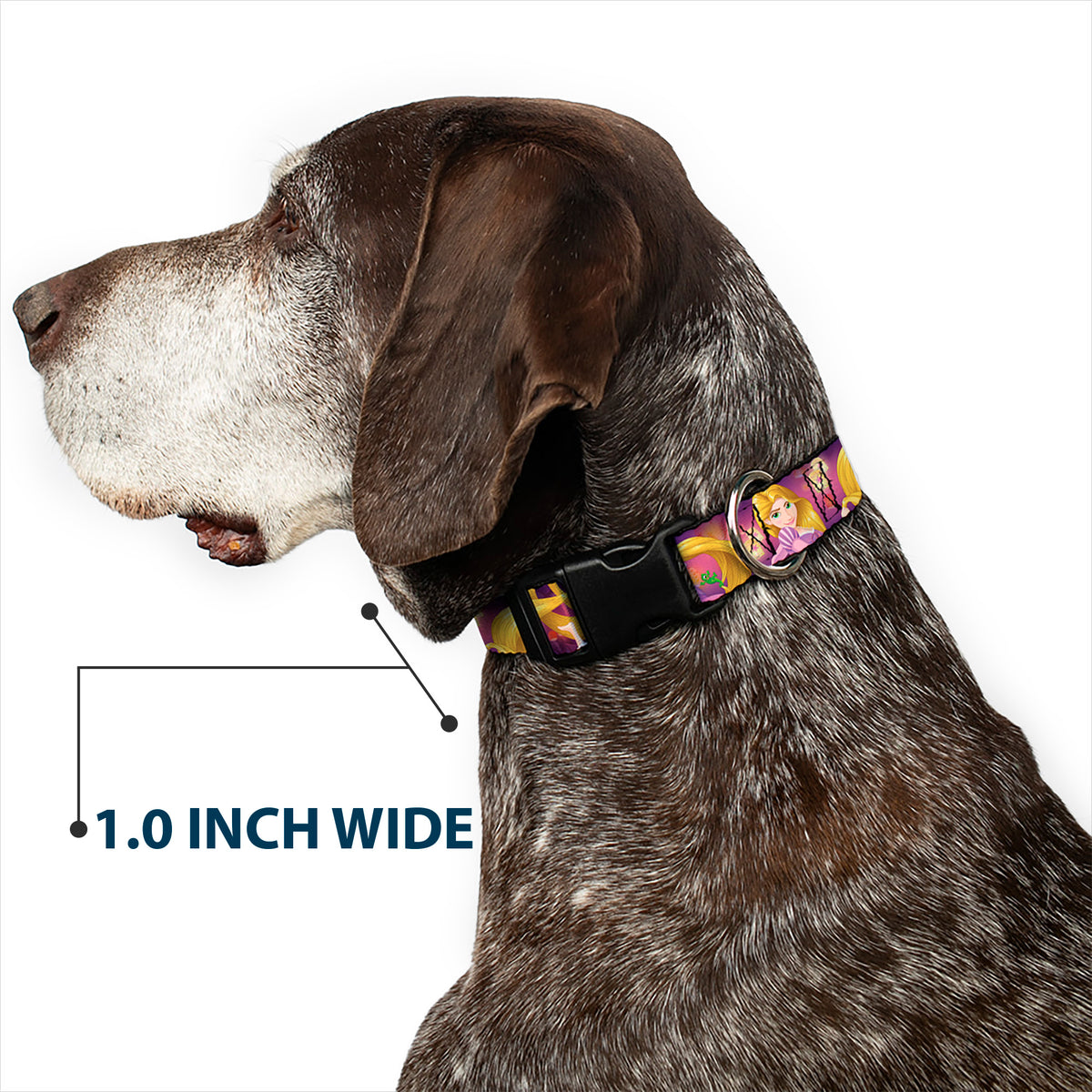 Plastic Clip Collar - Rapunzel 4-Tangled Poses/Pascal/Lights Light Purples Dog Collars Plastic Clip Side Release Disney