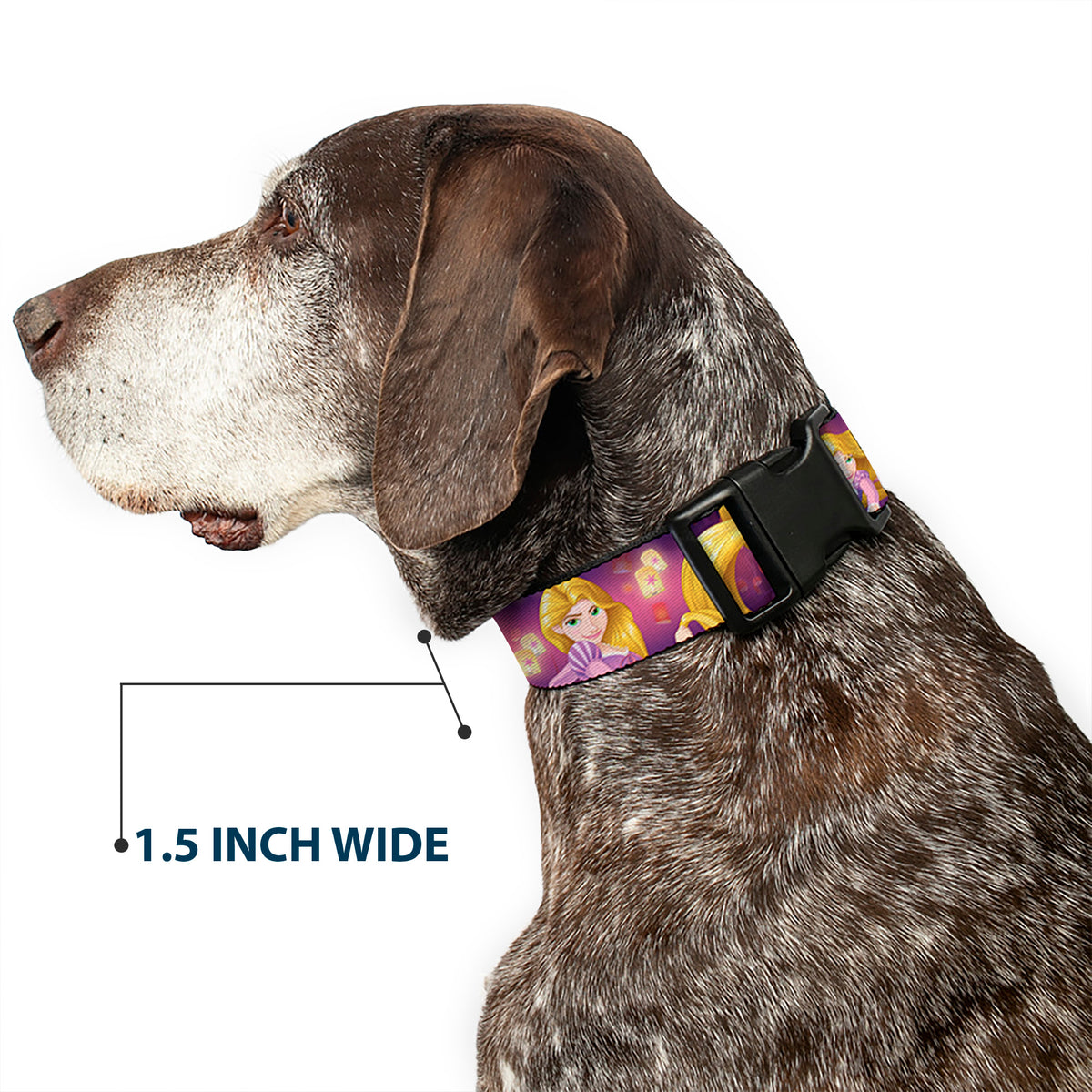 Plastic Clip Collar - Rapunzel 4-Tangled Poses/Pascal/Lights Light Purples Dog Collars Plastic Clip Side Release Disney