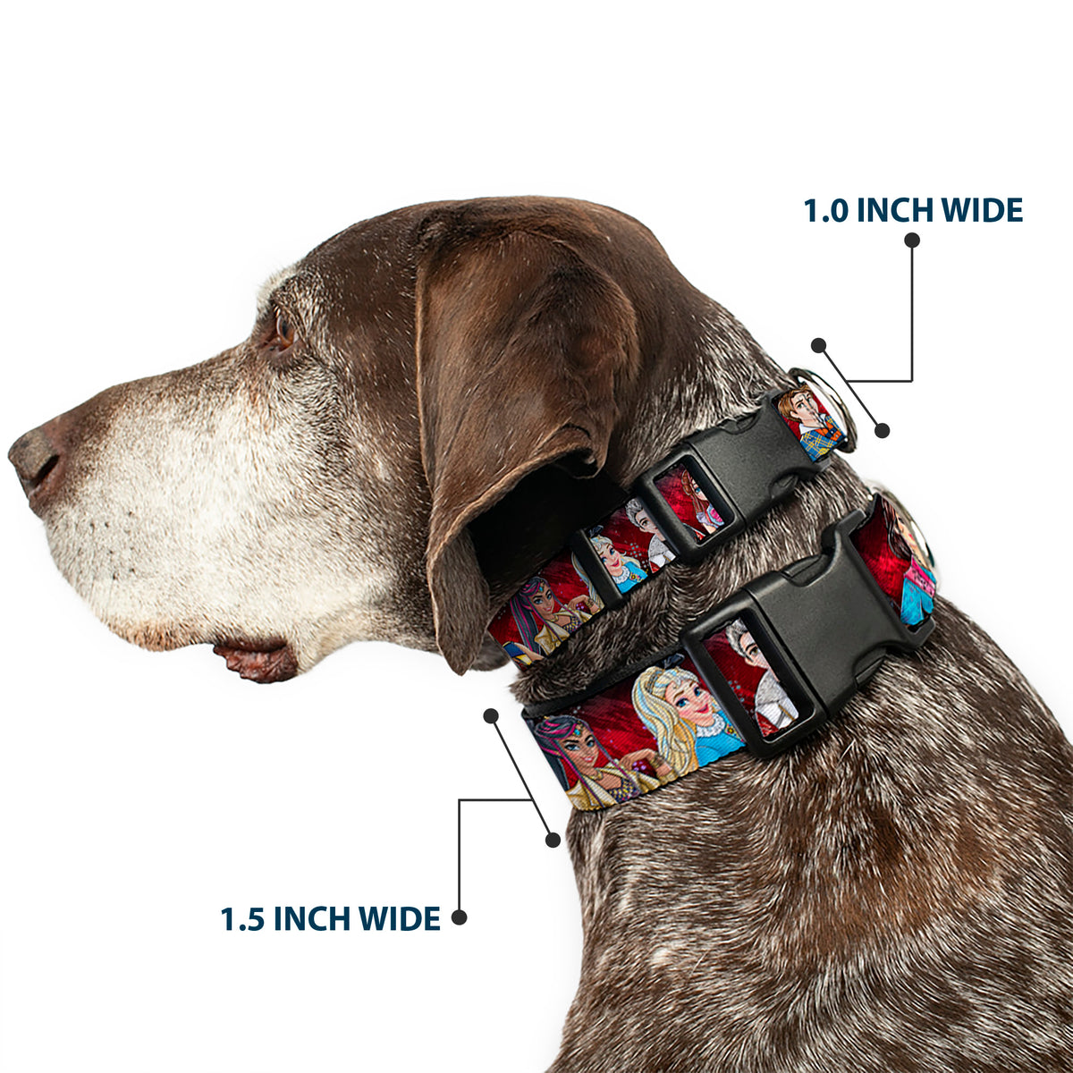 Plastic Clip Collar - Descendants 11-Character Group Pose Reds/Gray Dog Collars Plastic Clip Side Release Disney