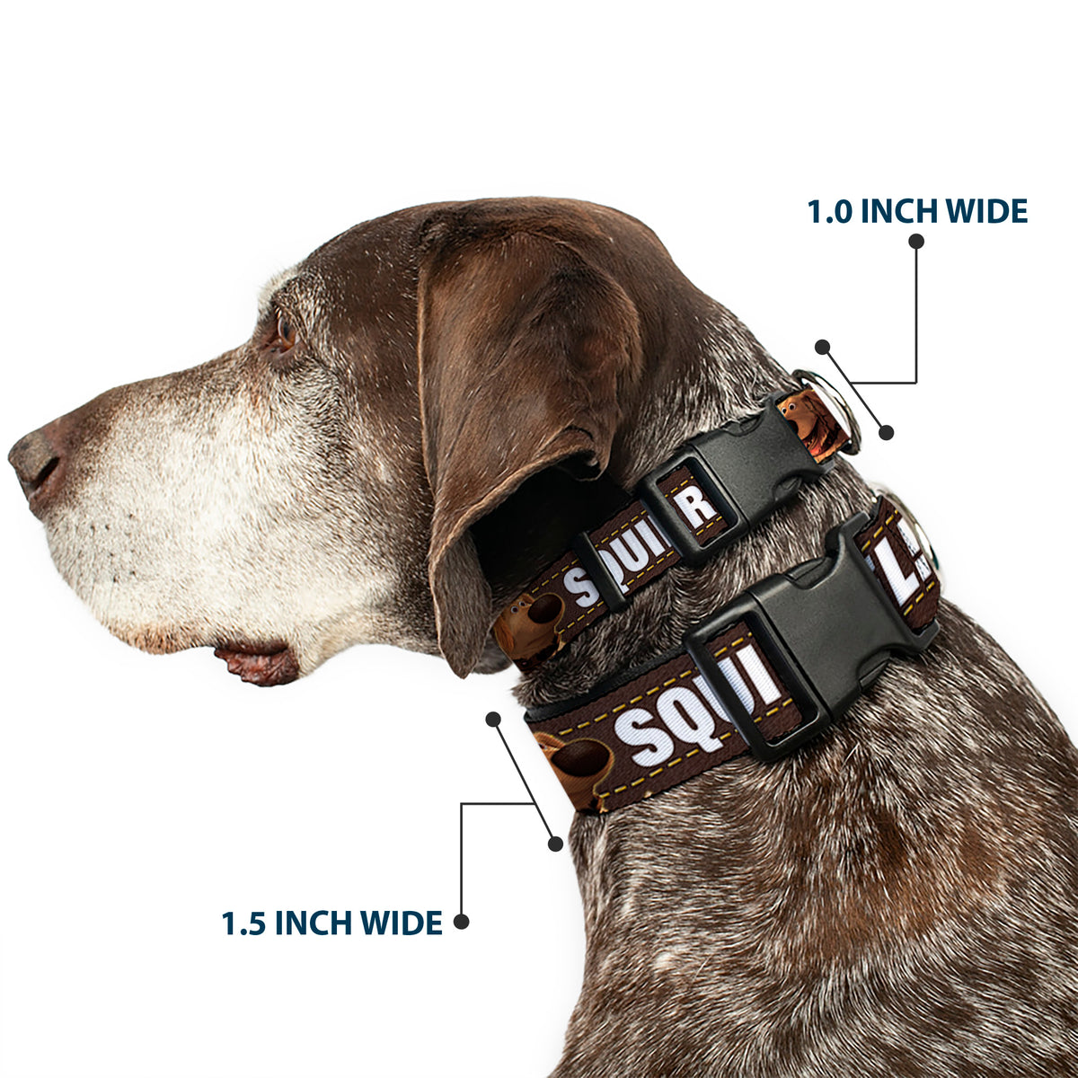 Plastic Clip Collar - Dug 3-Poses/SQUIRREL! Brown/Yellow/White Dog Collars Plastic Clip Side Release Disney