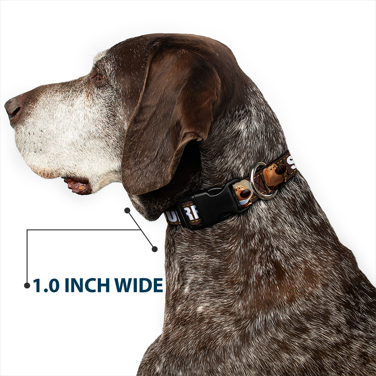 Plastic Clip Collar - Dug 3-Poses/SQUIRREL! Brown/Yellow/White Dog Collars Plastic Clip Side Release Disney