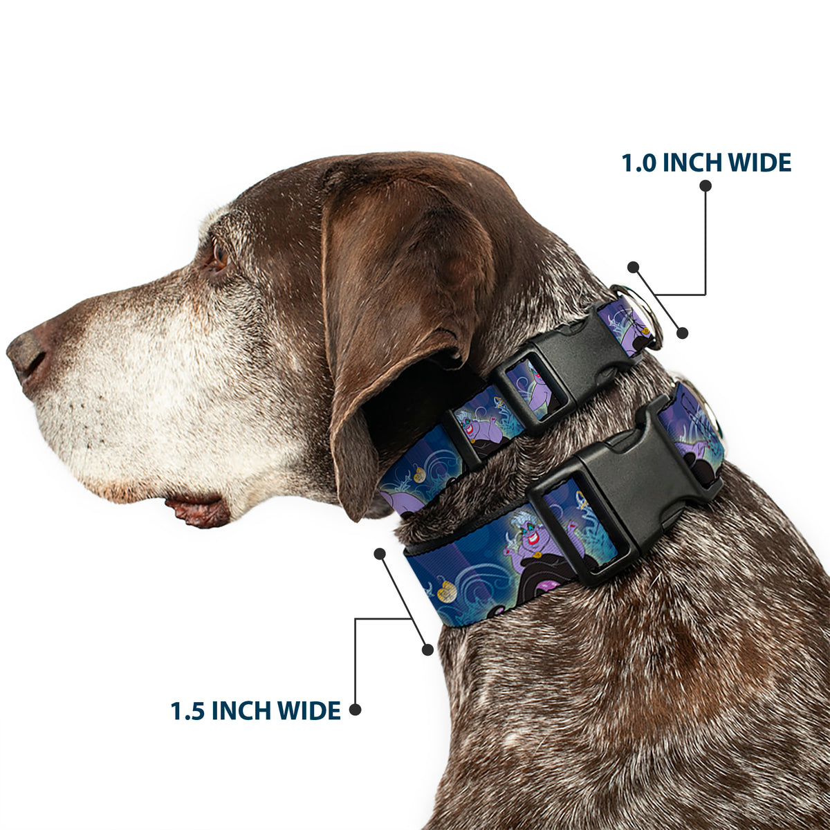 Plastic Clip Collar - Ursula 4-Poses/Shells/Ivy/Bubbles Purples/Blues Dog Collars Plastic Clip Side Release Disney