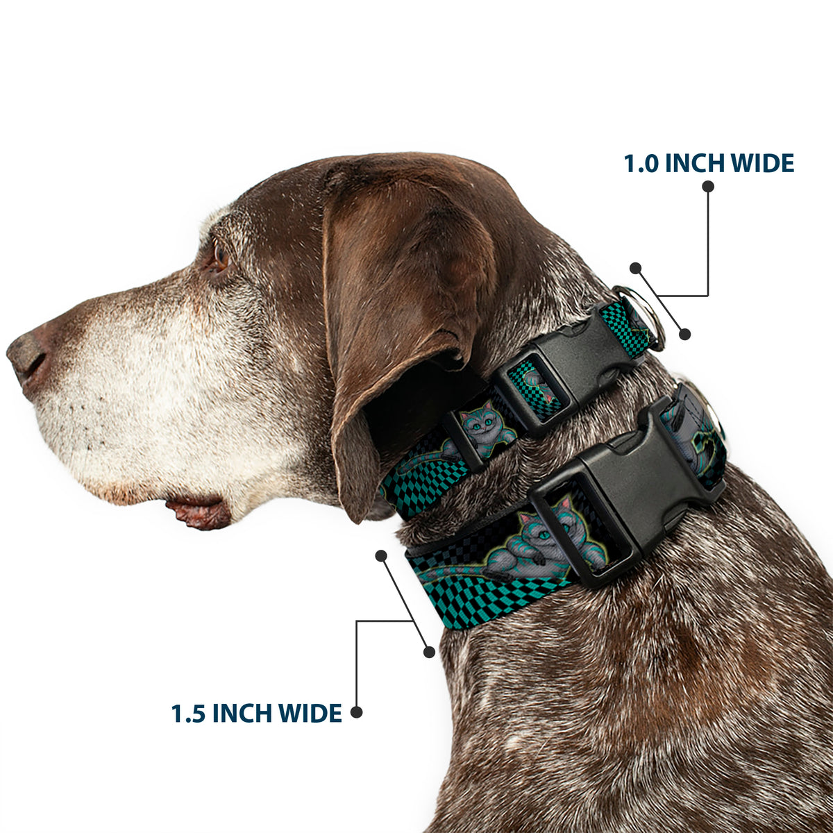 Plastic Clip Collar - Cheshire Cat 4-Poses Checkers Teal/Black Dog Collars Plastic Clip Side Release Disney